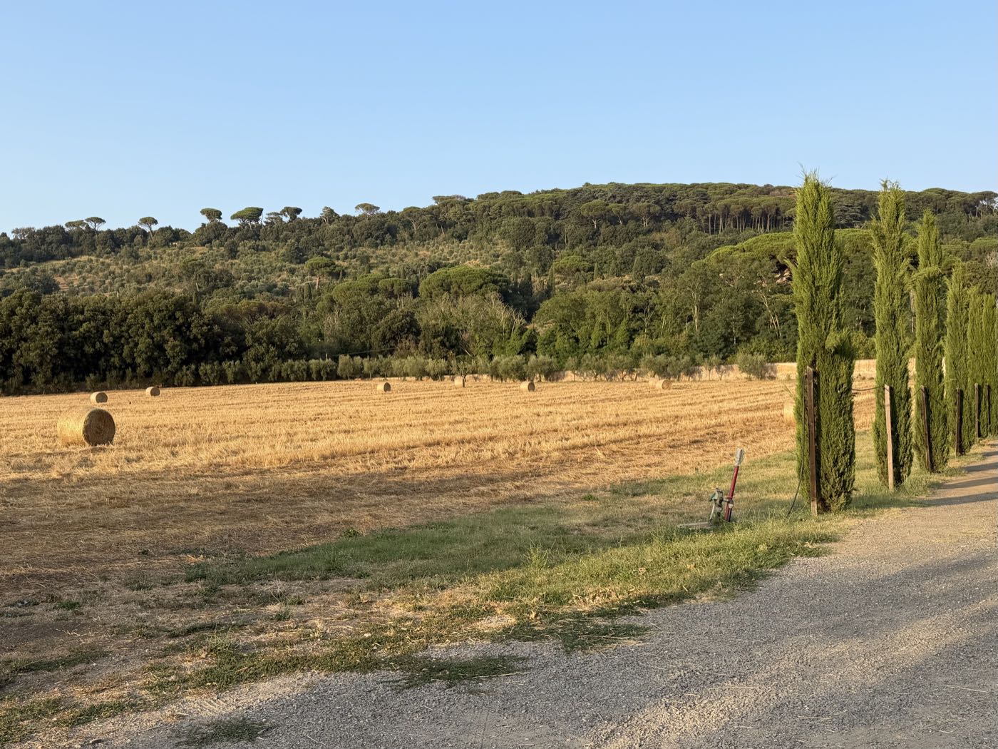 Campagna romana con balle di fieno, pini e un filare di cipressi lungo una strada bianca